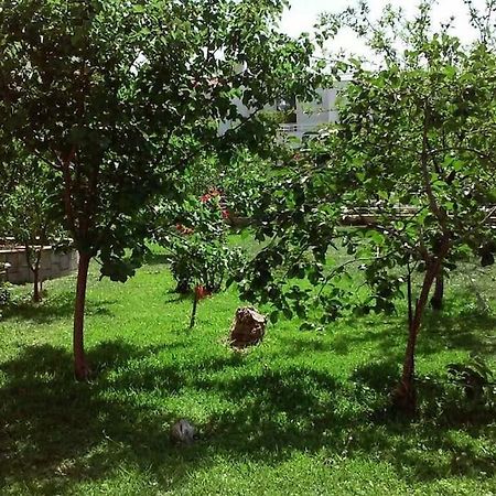 Sunny Garden Studio أثينا المظهر الخارجي الصورة