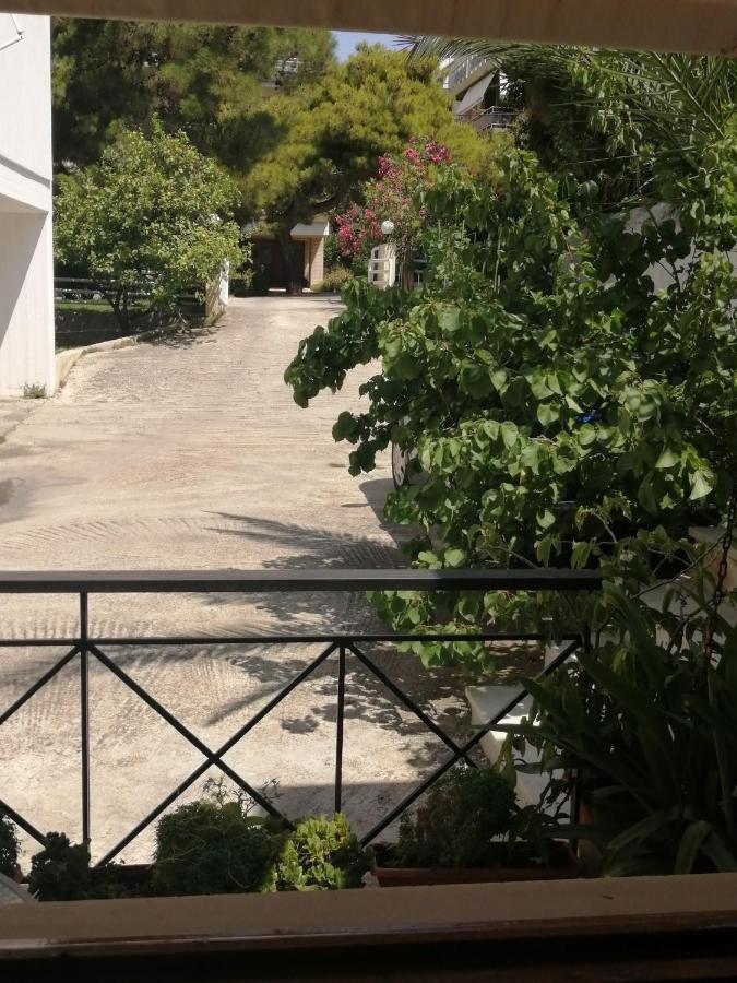 Sunny Garden Studio أثينا المظهر الخارجي الصورة